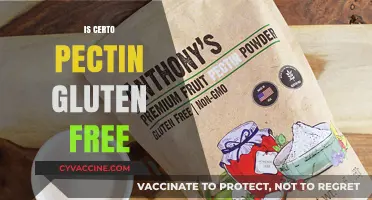 Is Certo Pectin Gluten-Free? A Clear Answer for Dietary Needs