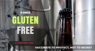 Is Cerveza Gluten-Free? Exploring Beer Options for Celiac Diets