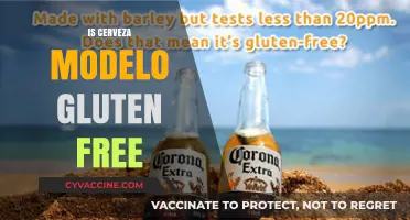 Is Cerveza Modelo Gluten-Free? Unraveling the Beer Mystery