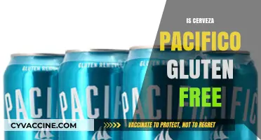 Is Cerveza Pacifico Gluten-Free? A Detailed Beer Analysis