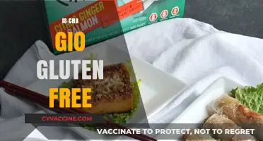 Is Cha Gio Gluten Free? A Comprehensive Guide to Vietnamese Spring Rolls