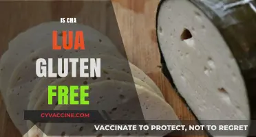 Is Cha Lua Gluten Free? A Comprehensive Guide for Foodies