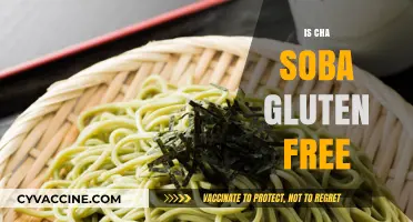 Is Cha Soba Gluten-Free? Unraveling the Truth for Celiac Diets