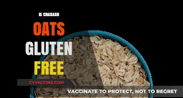 Are Chadash Oats Gluten-Free? A Comprehensive Guide for Celiacs