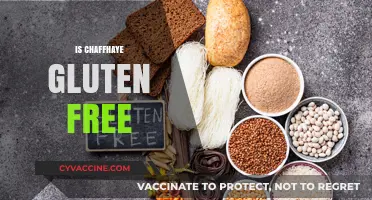 Is Chaffhaye Gluten-Free? A Comprehensive Guide for Health-Conscious Eaters