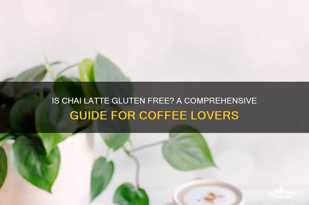 is chai latte gluten free