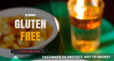 Is Chakli Gluten-Free? Exploring Ingredients and Dietary Suitability