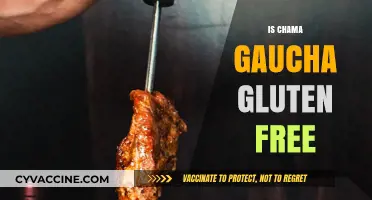 Is Chama Gaucha Gluten-Free? Exploring the Menu for Celiac Diners