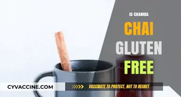 Is Chamba Chai Gluten-Free? Uncovering the Truth for Tea Lovers