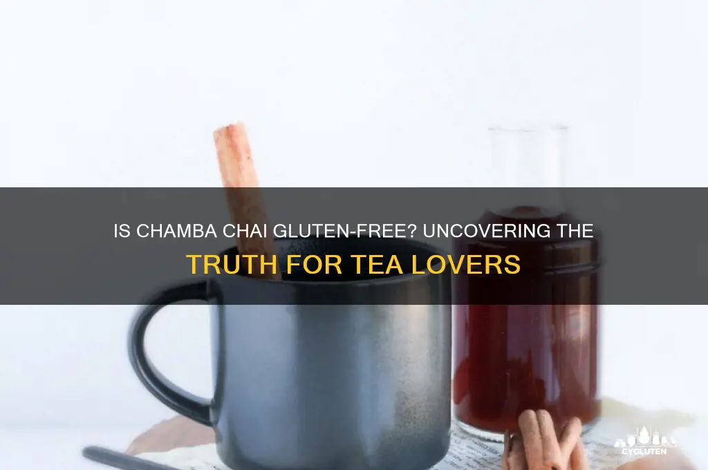 is chamba chai gluten free
