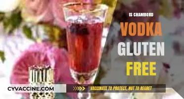 Is Chambord Vodka Gluten-Free? A Complete Guide for Drinkers
