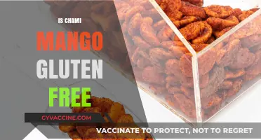Is Chami Mango Gluten-Free? A Complete Guide for Dieters