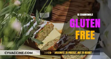 Is Chamomile Gluten Free? Unraveling the Truth for Celiac Sufferers