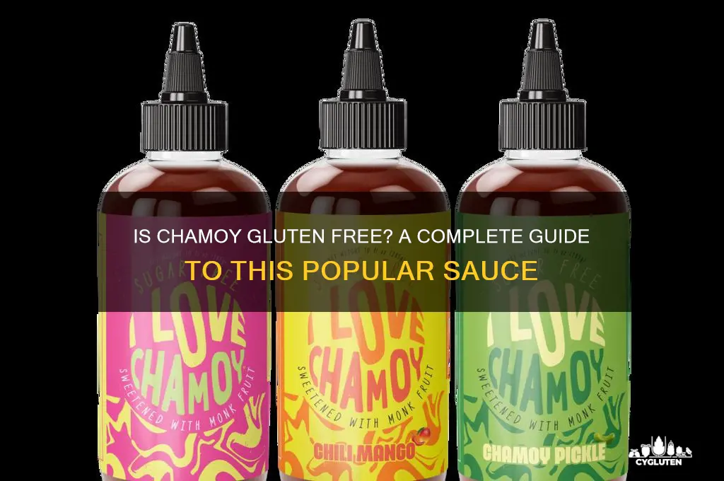 is chamoy gluten free