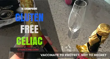 Is Champagne Gluten-Free? A Celiac's Guide to Safe Celebrations