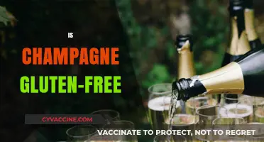 Is Champagne Gluten-Free? Unveiling the Truth for Celiac Sufferers