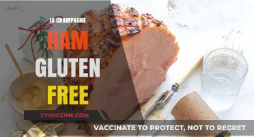 Is Champagne Ham Gluten-Free? A Complete Guide for Celiac Diets