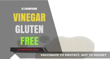 Is Champagne Vinegar Gluten-Free? A Clear Answer for Celiacs
