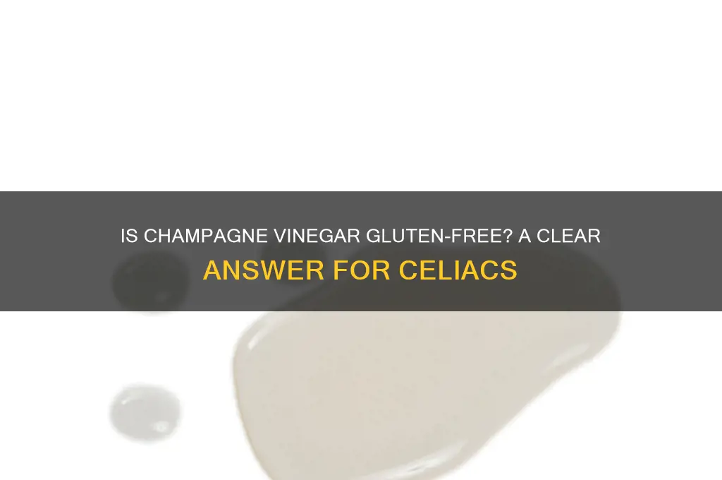 is champagne vinegar gluten free