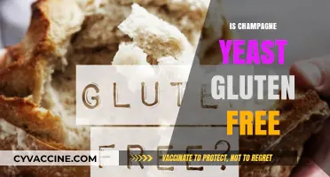 Is Champagne Yeast Gluten-Free? Unveiling the Truth for Celiac Safety