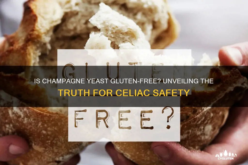 is champagne yeast gluten free