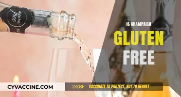 Is Champagne Gluten-Free? Unveiling the Truth for Celiac Sufferers
