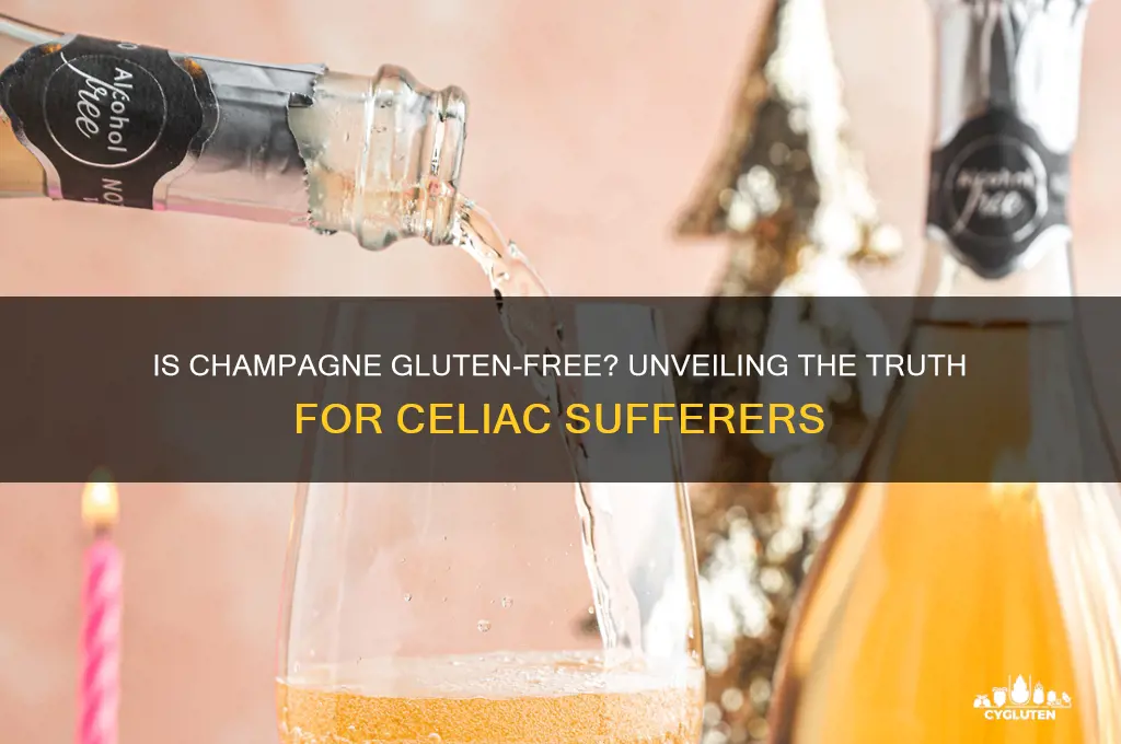 is champaign gluten free