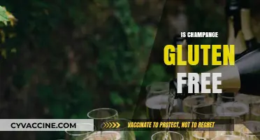 Is Champagne Gluten-Free? Unveiling the Truth for Celiac Sufferers