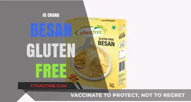 Is Chana Besan Gluten-Free? A Complete Guide for Dietary Needs