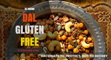 Is Chana Dal Gluten-Free? A Comprehensive Guide for Dietary Needs