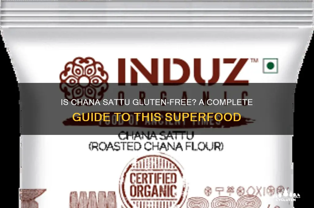 is chana sattu gluten free