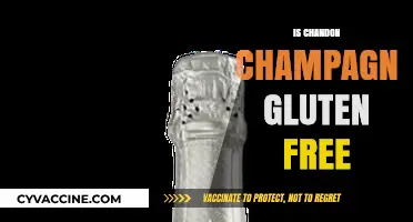 Is Chandon Champagne Gluten-Free? A Complete Guide for Wine Lovers