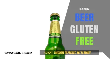 Is Chang Beer Gluten-Free? A Complete Guide for Beer Lovers