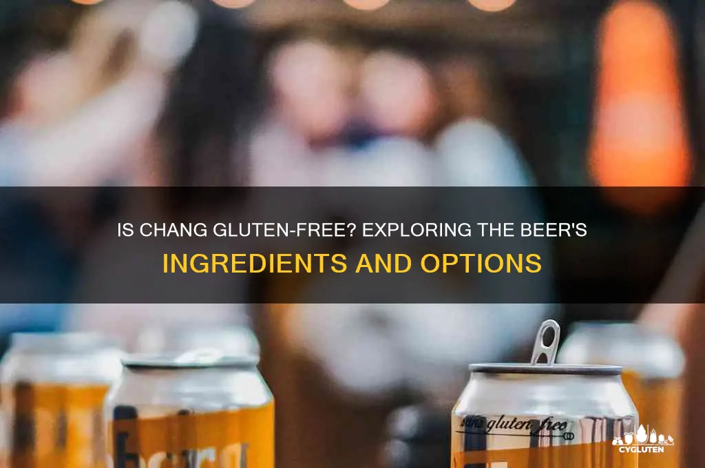 is chang gluten free