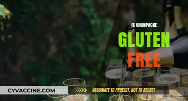 Is Champagne Gluten-Free? A Guide to Safe Celebrations