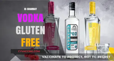 Is Charbay Vodka Gluten-Free? A Complete Guide for Vodka Lovers