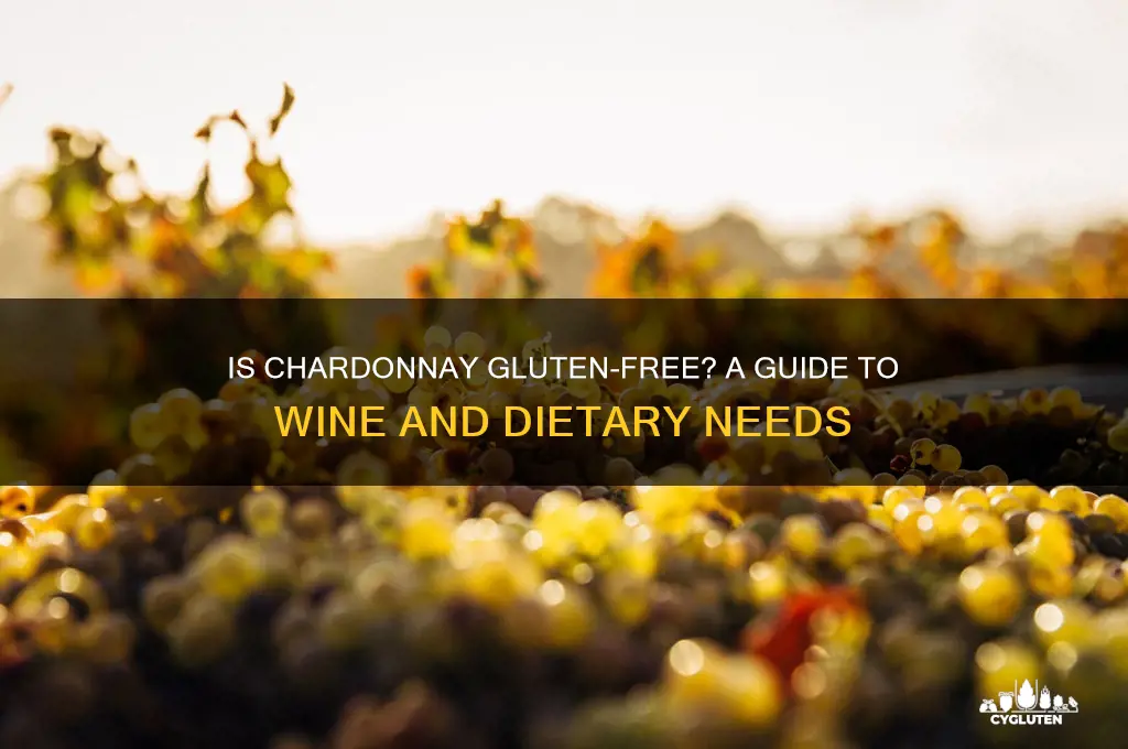 is chardonnay gluten-free