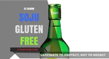 Is Charm Soju Gluten-Free? A Complete Guide for Drinkers