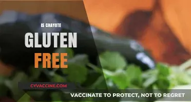 Is Chayote Gluten-Free? A Comprehensive Guide to This Versatile Veggie