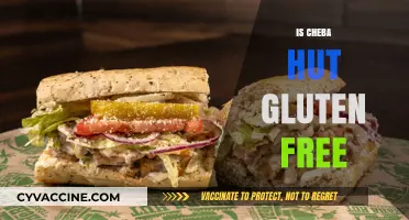 Is Cheba Hut Gluten-Free? Exploring Menu Options for Celiac Diners