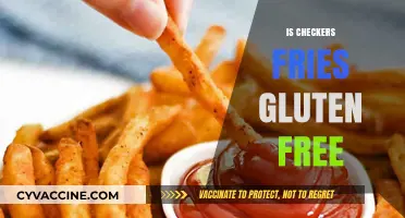 Are Checkers Fries Gluten-Free? A Complete Guide for Celiac Diners