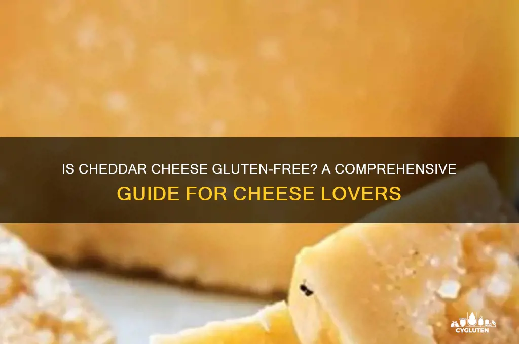is cheddar cheese gluten-free