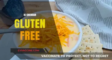Is Cheddar Cheese Gluten-Free? A Comprehensive Guide for Cheese Lovers