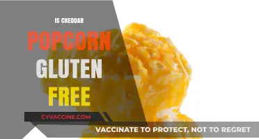 Is Cheddar Popcorn Gluten-Free? A Crunchy Snack Fact Check