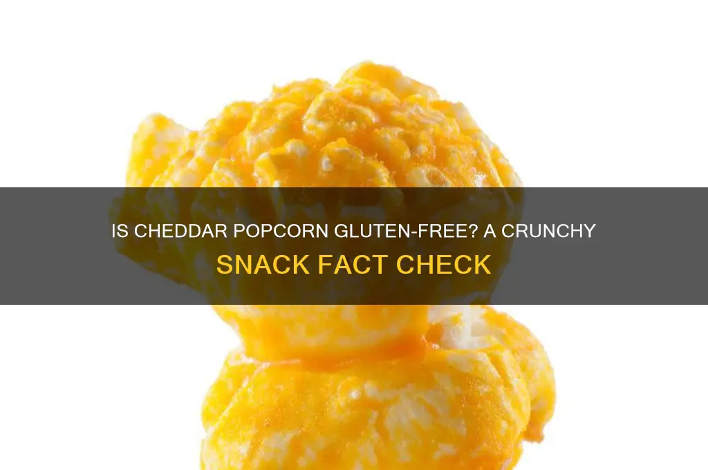 is cheddar popcorn gluten free
