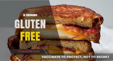 Is Cheddar Cheese Gluten-Free? A Comprehensive Guide for Celiacs
