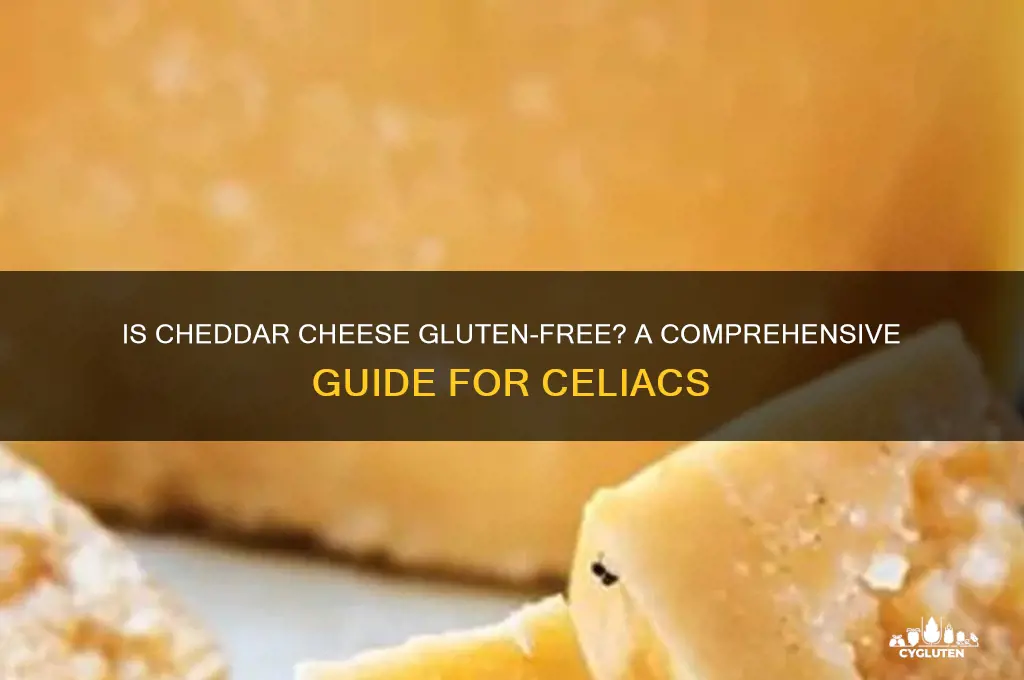 is cheddars gluten free