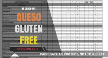 Is Cheddar's Queso Gluten-Free? A Complete Guide for Diners