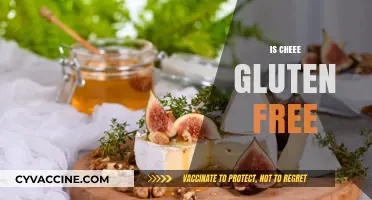 Is Cheese Gluten-Free? A Comprehensive Guide to Safe Cheese Choices