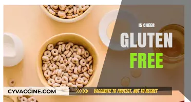 Is Cheer Gluten-Free? Discover the Cereal's Ingredients and Safety